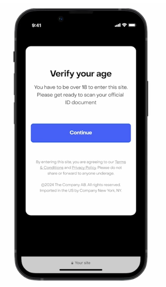AI-powered age verification interface